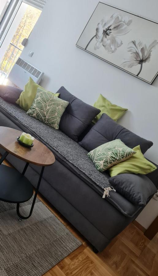 Apartman Tim Lux 2 Vrnjačka Banja Esterno foto